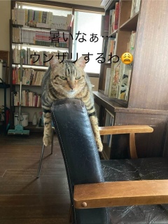 V̉cƗ\