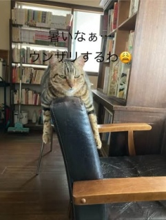 9ỎcƗ\