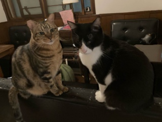 12��20��(�y)��17���I�[�v���ł�