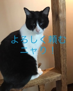 1���O���̉c�Ɨ\��