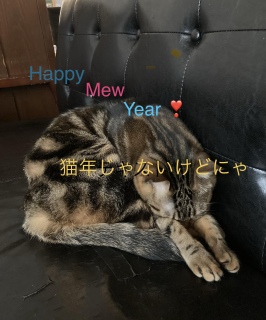 �V�N�͂P���͂W��(��)����̉c��