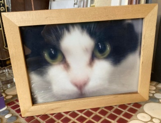 1��15���̓|�[�̖����ł����B