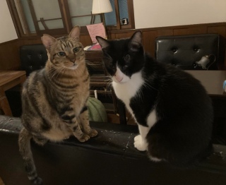 1��24��(�y) ��17������21���܂ł̉c�Ƃł�