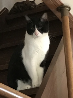 1��25��(��)��17������̉c�Ƃł�