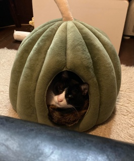 1��29��(��)17������c��