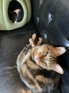 2��5��(��)��17������c��