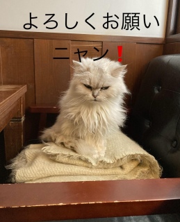 2���O���̉c�Ɨ\��