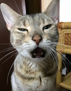 2��7��(�y)��17���ɃI�[�v��!!