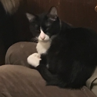 �ȉ��A2���㔼�̗\��ł��B