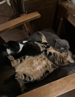 2��22��(��)��16:00�`19:00�̉c��