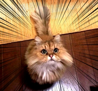 2��26��(��)��17������̉c�Ƃł�