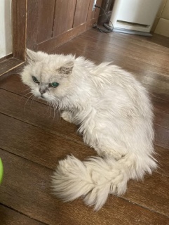 3��1��(��)��17���I�[�v���ł�