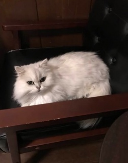 3��7���͓y�j���́A17������21���܂ŉc��