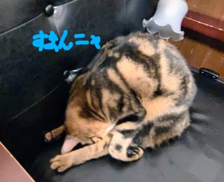 �{��3��13���͋x��