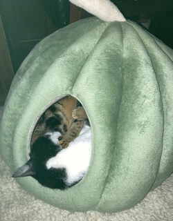 �{��3��19��(��)��17������20�����c��