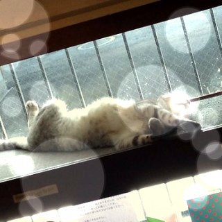 4������̃o�[�^�C���c�Ƃ͖��T�y�j����18���`22��