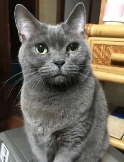 3��22��(��)��17������c��