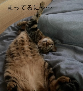 �S������̉c�ƂƐV���i�ɂ���