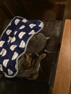 3��26��(��)17������c��