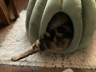 4��23��(��)��17���I�[�v��