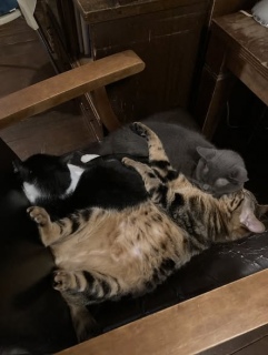 ����23���A�ؗj��1�����J