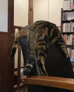 4��30��(��)�͂��x�݂ł�