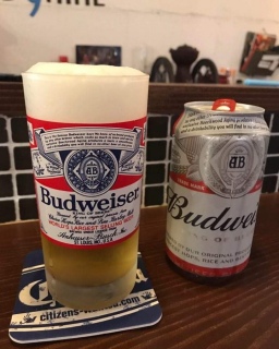 7��30��(��)�{����17���I�[�v��