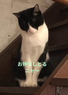 8��14��(��)��17���I�[�v���ł�