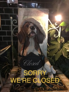 �{��9��4��(��)�͋x�Ƃ������܂�
