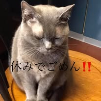 �{��10��16��(��)�͓X��̒��s�ǂ̂��ߋx�Ƃ������܂�